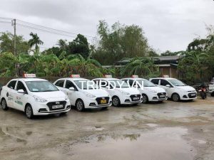 Taxi kiến thuỵ hải phòng